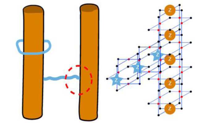 Robust Quantum Computer Made of Light