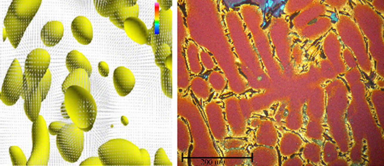 left)Lattice Boltzmann simulation of bubbling. The arrows represent the flow speed. Bubbling is a technology to fabricate clean steels; (right) Al dendrite in A356.