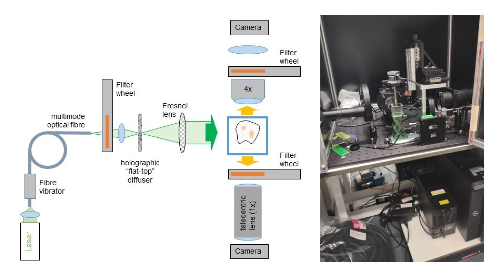 Laser OPT