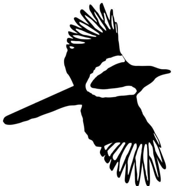 MAGPIE image