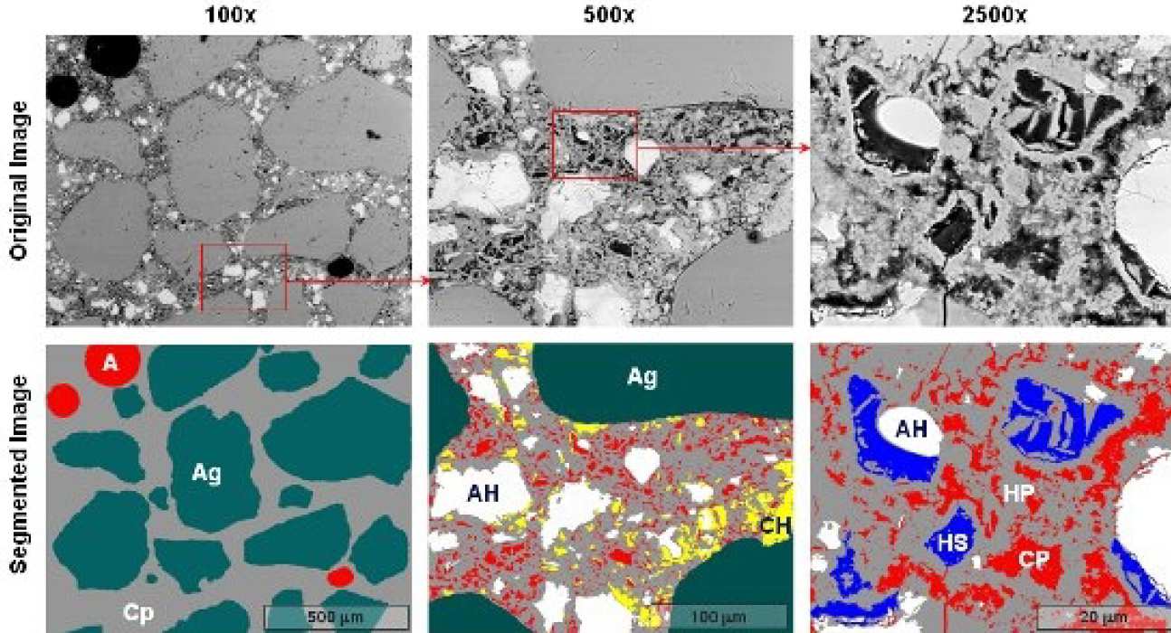 Field-emission scanning electron microscopy and 3D confocal imaging