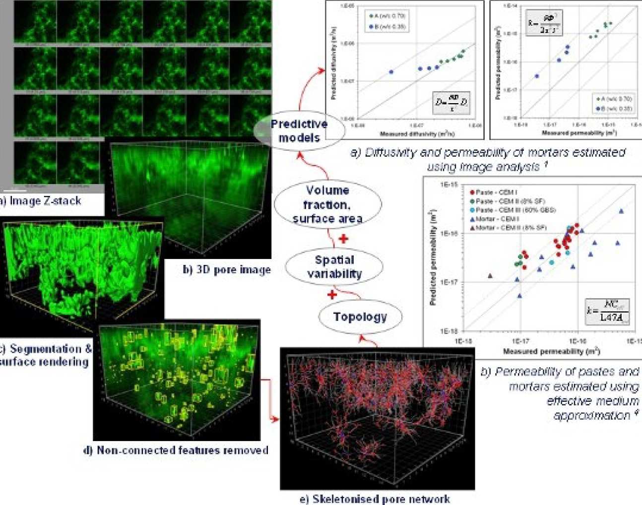 Predicting mass transport in concrete from microstructure