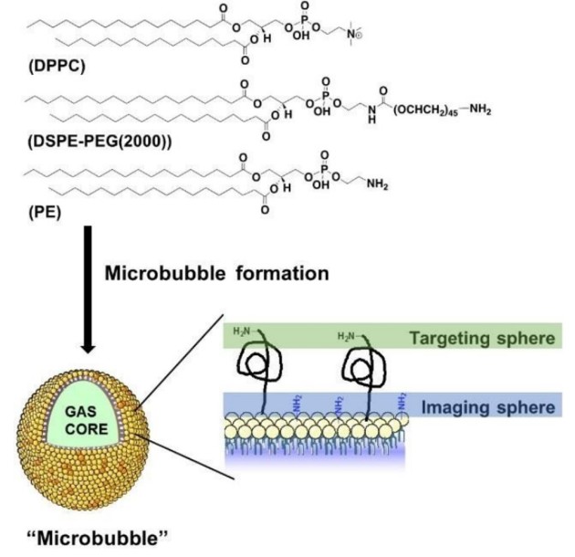 microbubbles