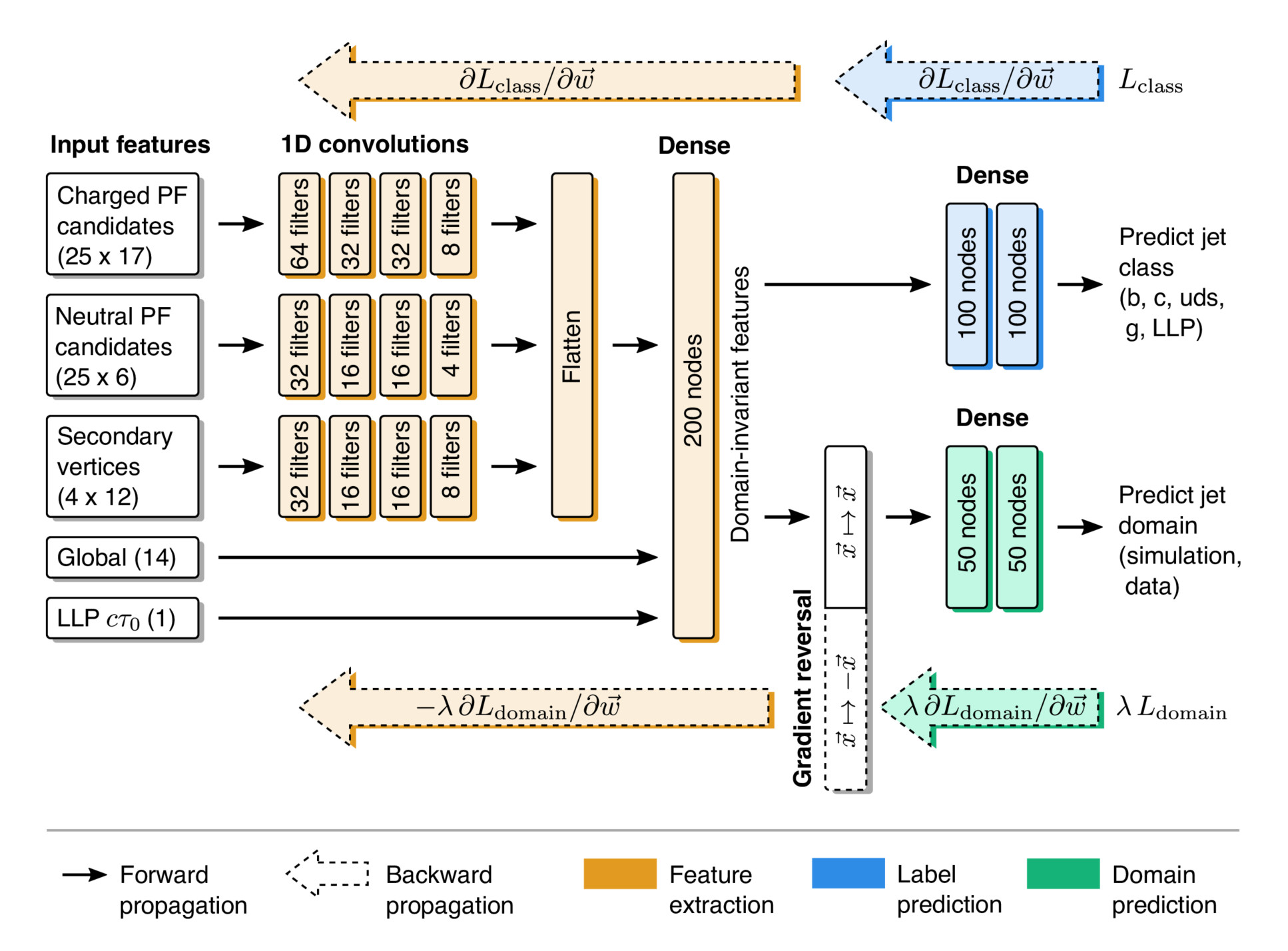 Schematic of the network architecture