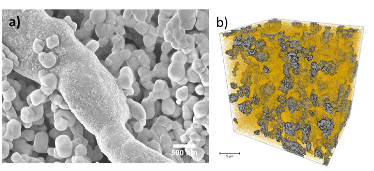 fig 1 SEM