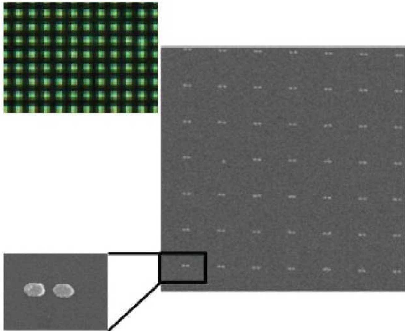 Electron microscope and optical scattering images of bow tie nanoantennas designed for light concentration of the colour green