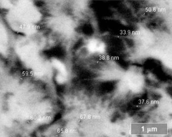 Fig 1: BSE image of capillary pores.