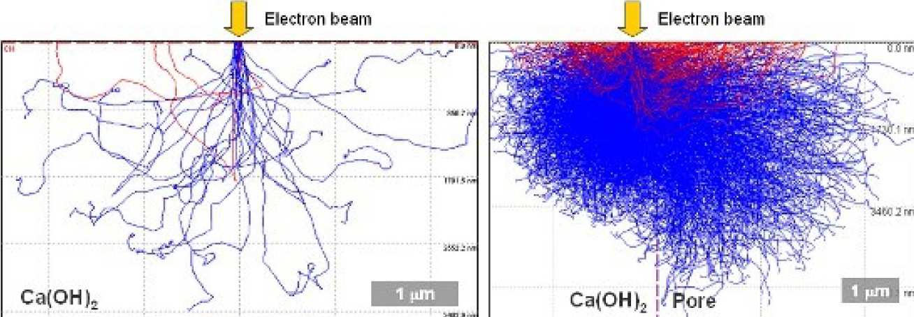 Fig 2: Monte-Carlo simulation of electron-sample interaction in a solid phase and across a pore boundary. Each electron is followed until it is either backscattered (red) or loses all of its energy (blue).