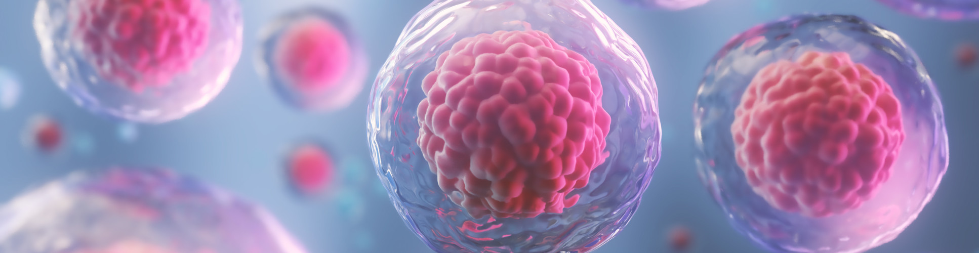 3d rendering of Human cell or Embryonic stem cell microscope background