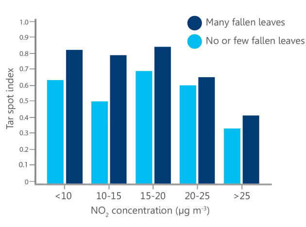 tar spot graph