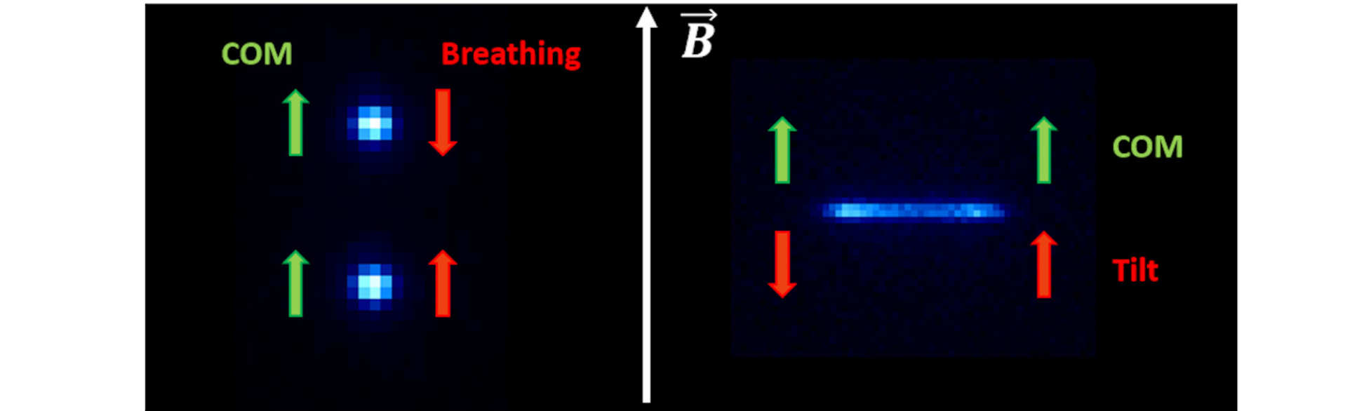 Figure 4 in [4]