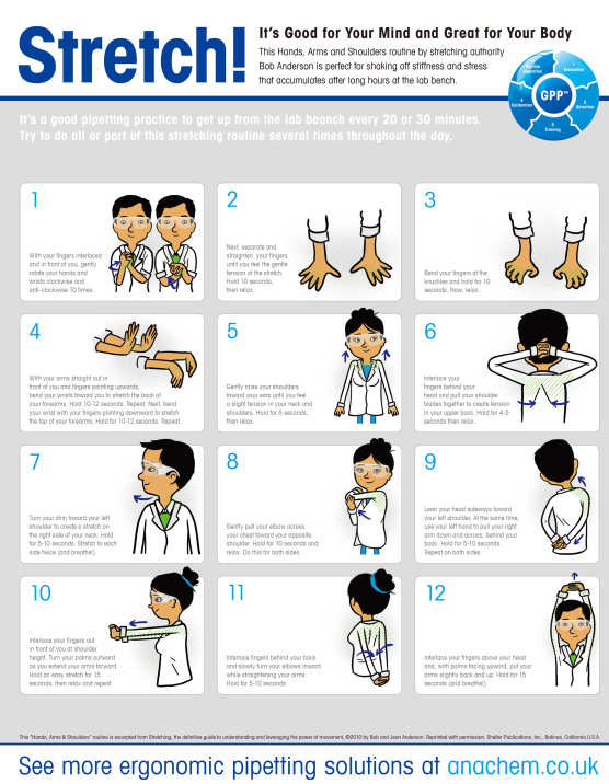 stretching after lab bench