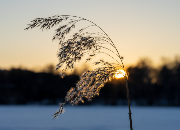 quiet sunset